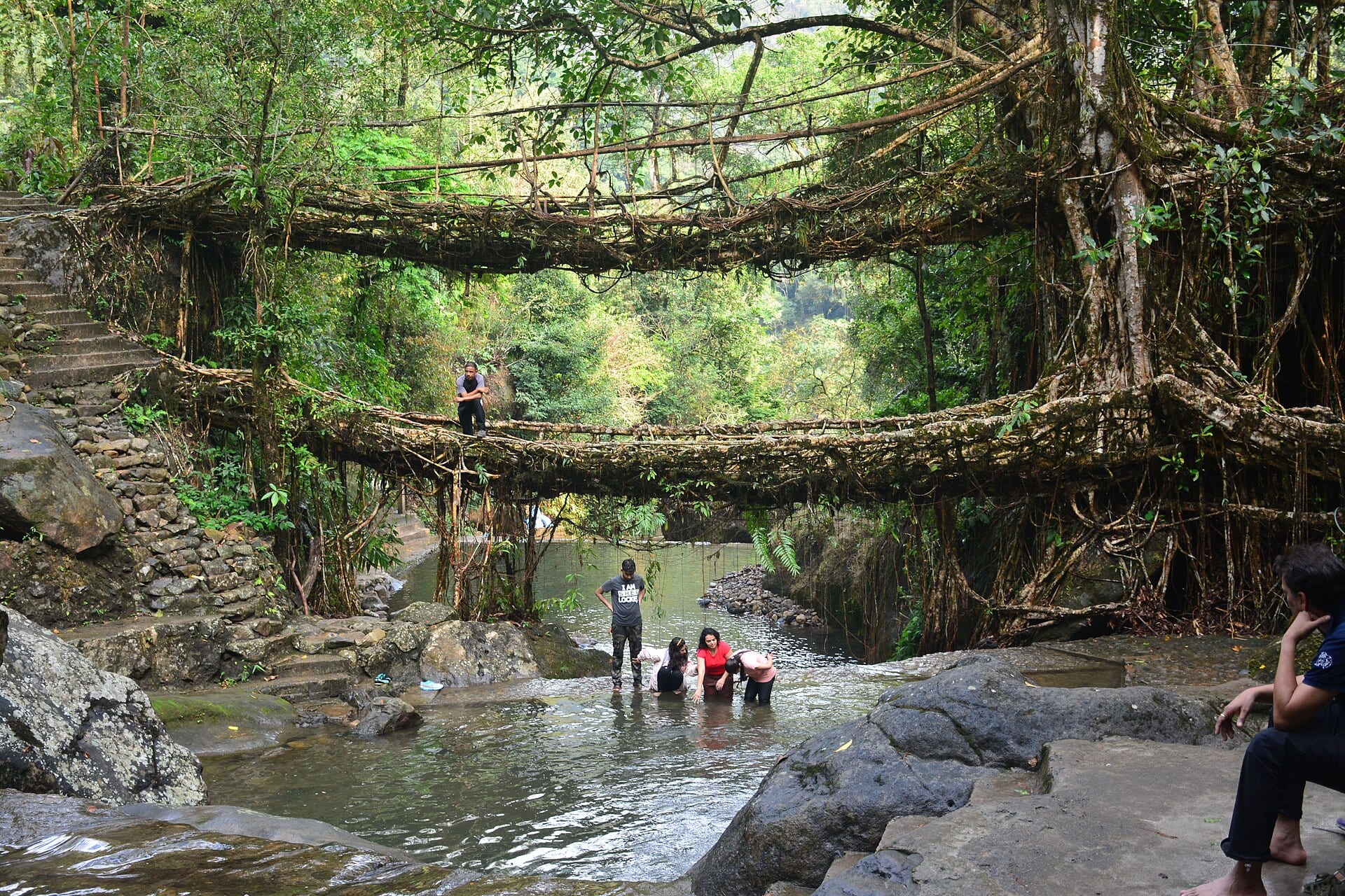 The double-decker living root bridge at Nongriat, Meghalaya
