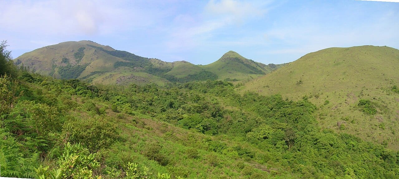Grassland slopes and forest on the way up Tadiandamol